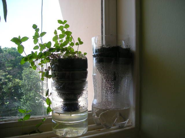 Self Watering Recycled Vase
