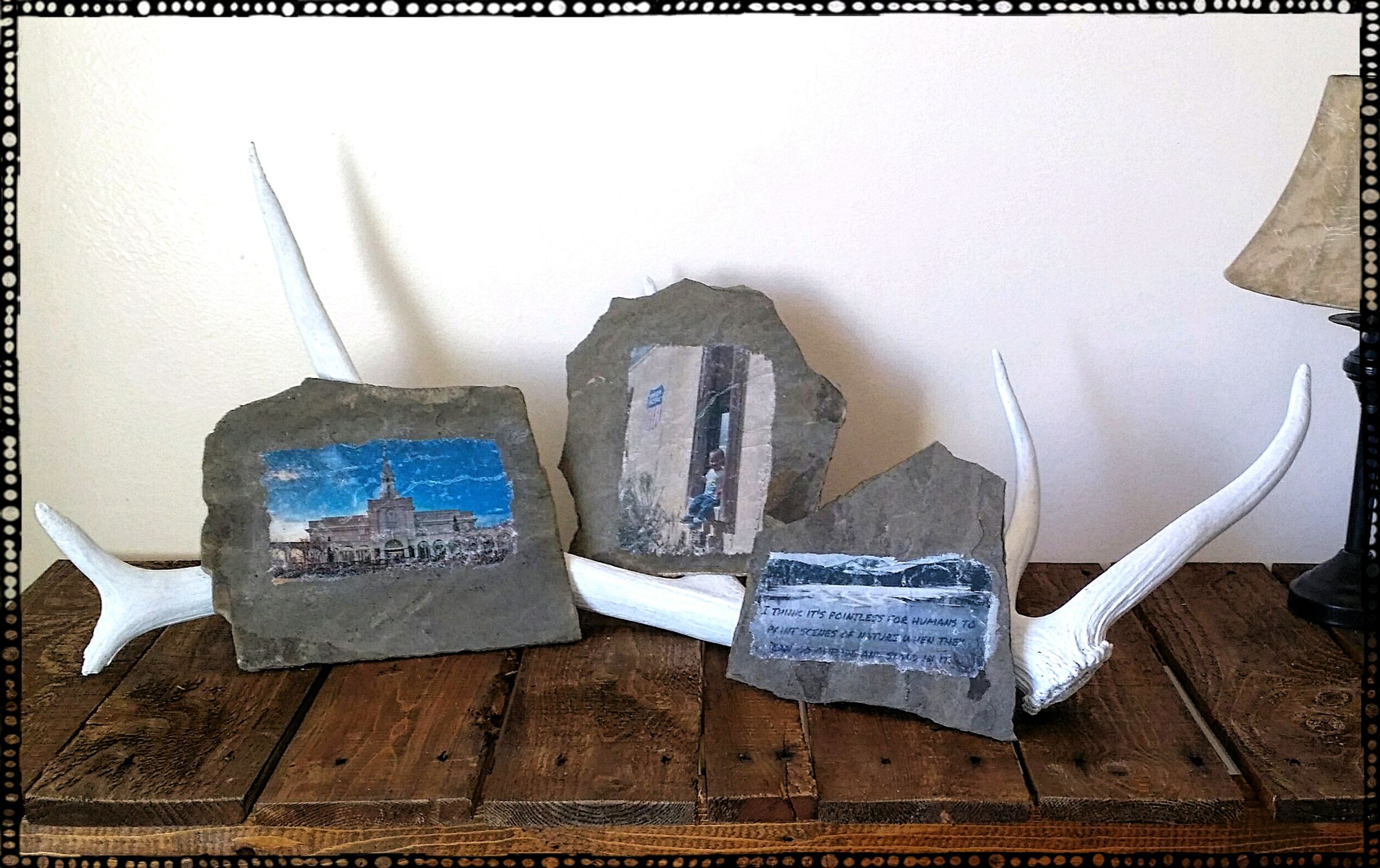 Antler Photo Display