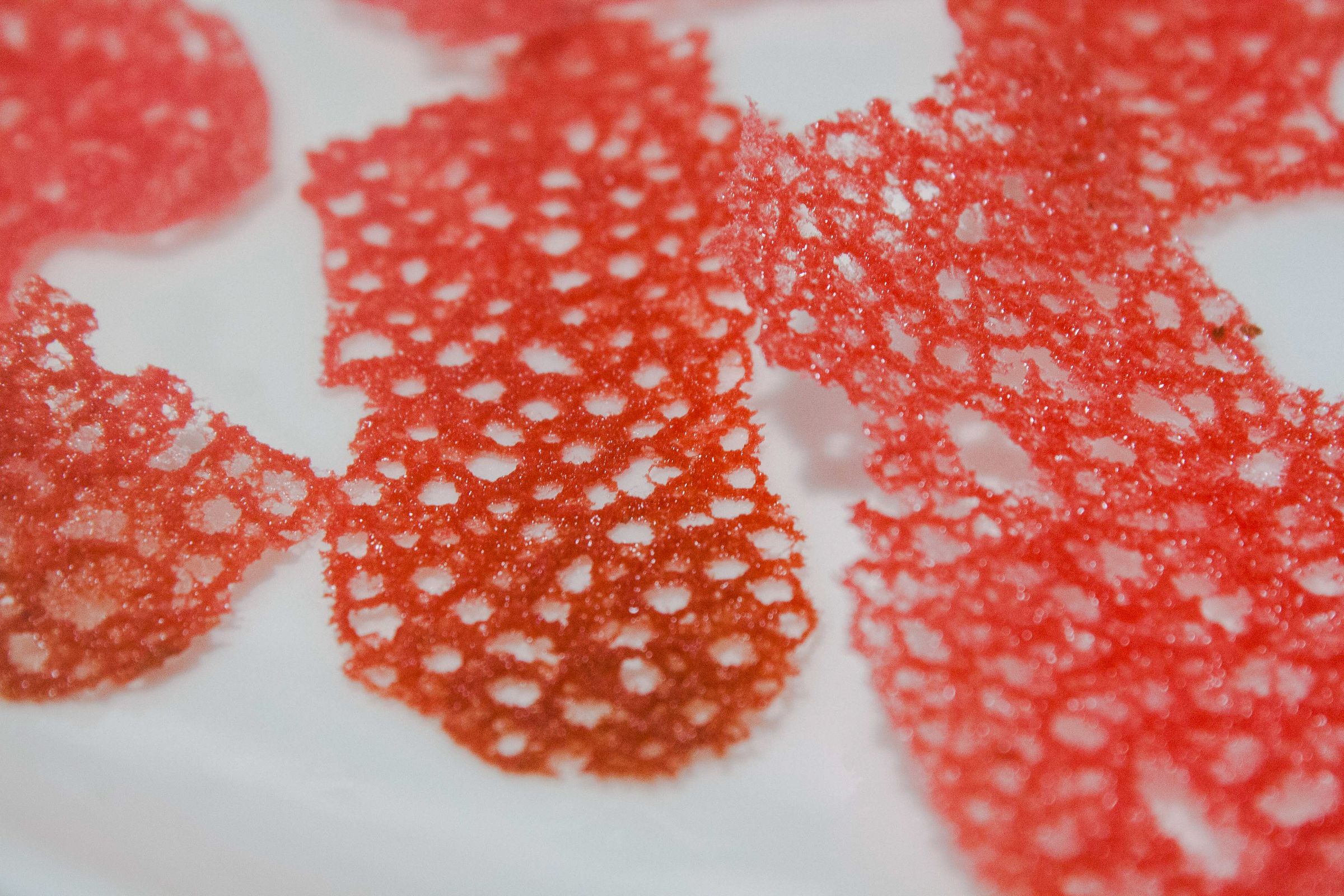 Science to Make Teulies Lace Cookies to Elevate Your Plates Like a Pro