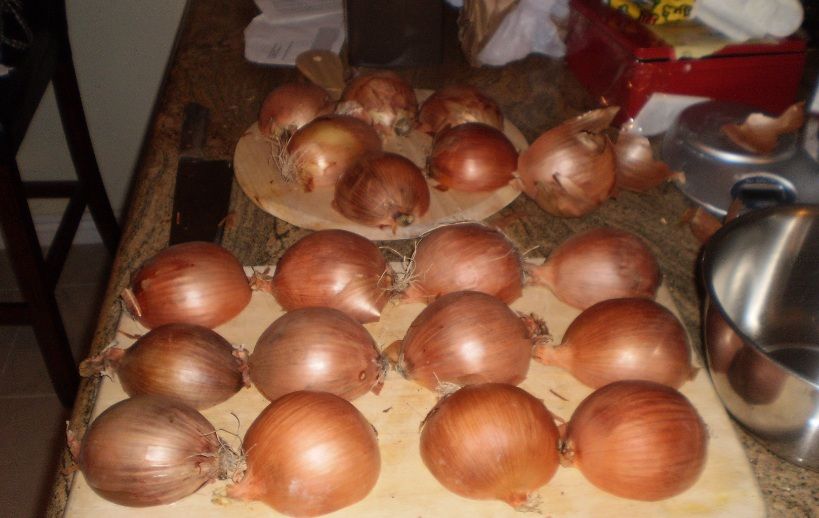 Half Microwaved/Half Baked French Onion Soup: Better Soup, Less Crying!