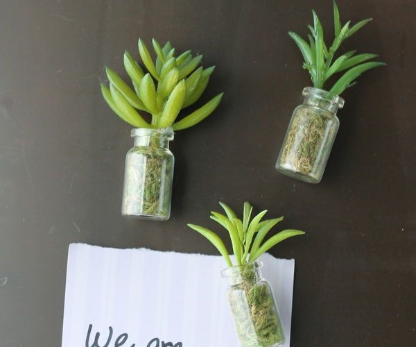 Succulent Jar Magnets