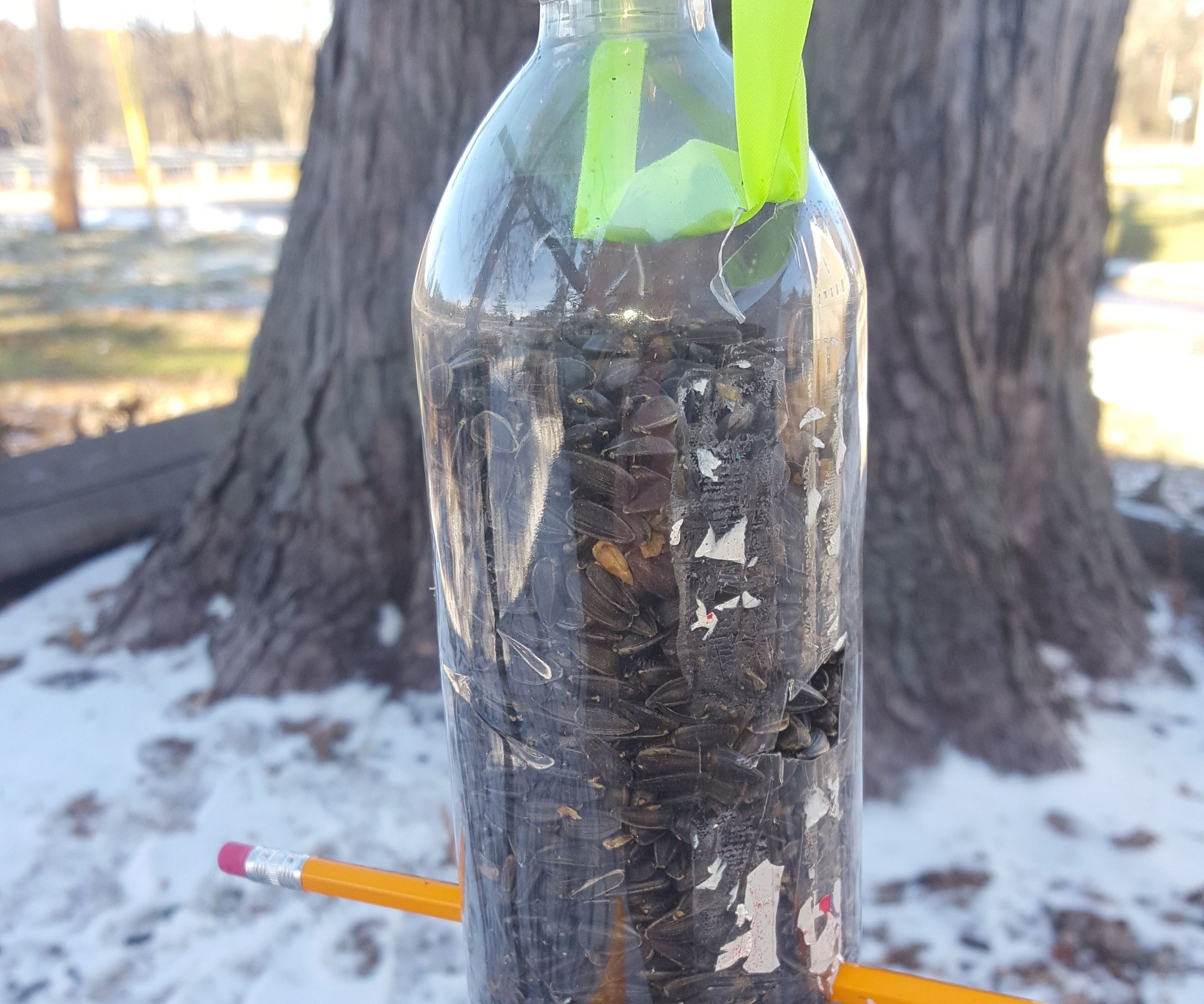 Old Plastic Bottle Bird Feeder. 