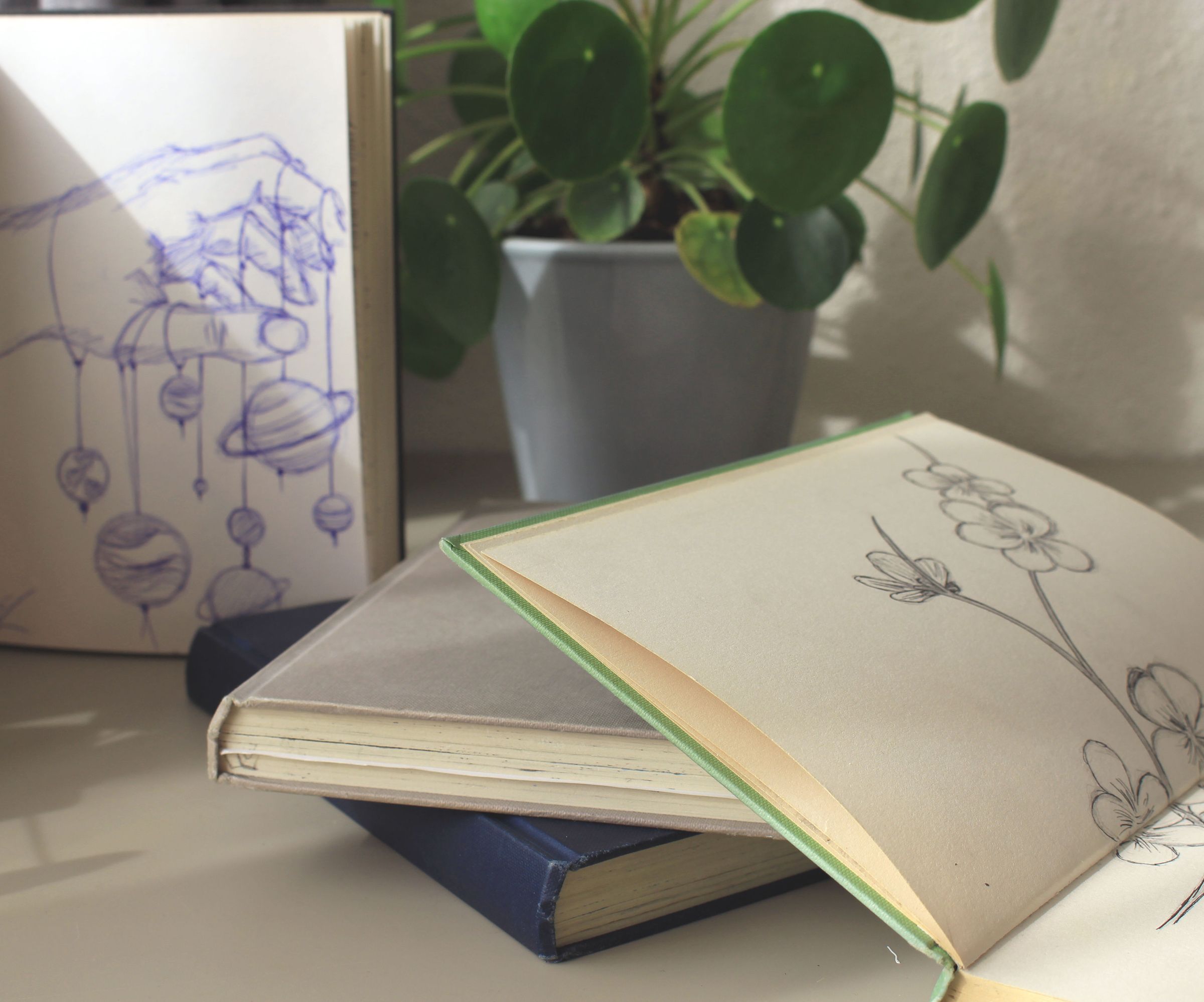 Improving Your Drawing Skills in 365 Days 