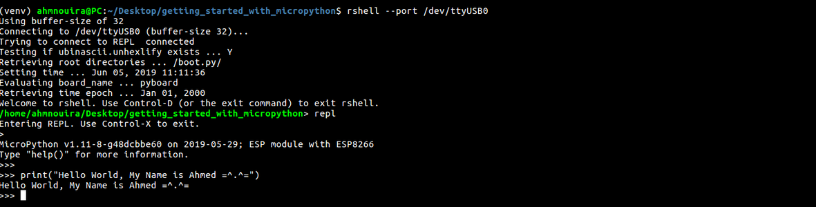 Getting Started With MicroPython on the ESP8266 : 10 Steps (with ...