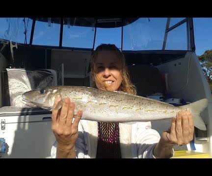 How to Cook King George Whiting and Popcorn Crayfish 