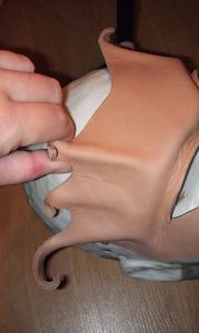 Shaping/Molding