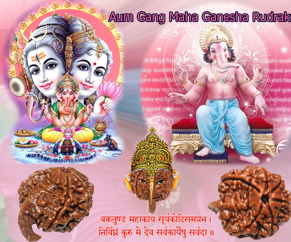 Why Rudraksha Is More Than a Spiritual Item?