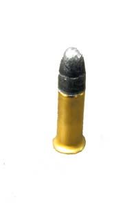 Make Custom 22. Bullets!!