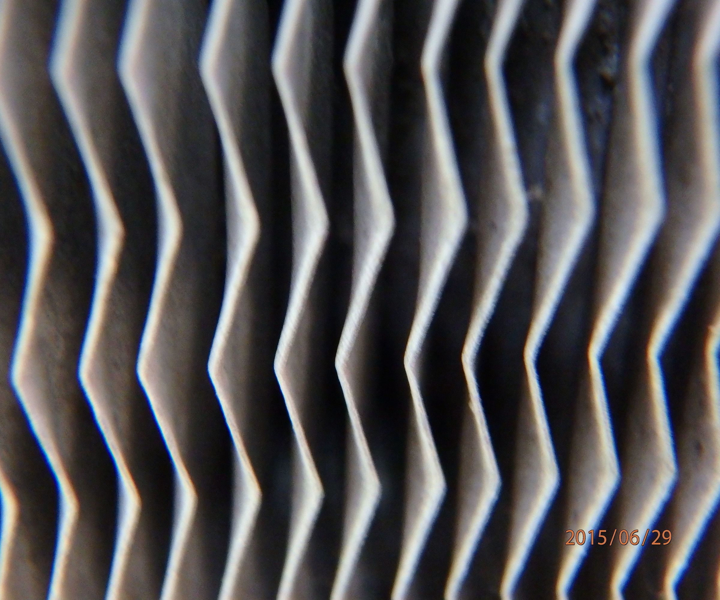 Shooting Macro Photos