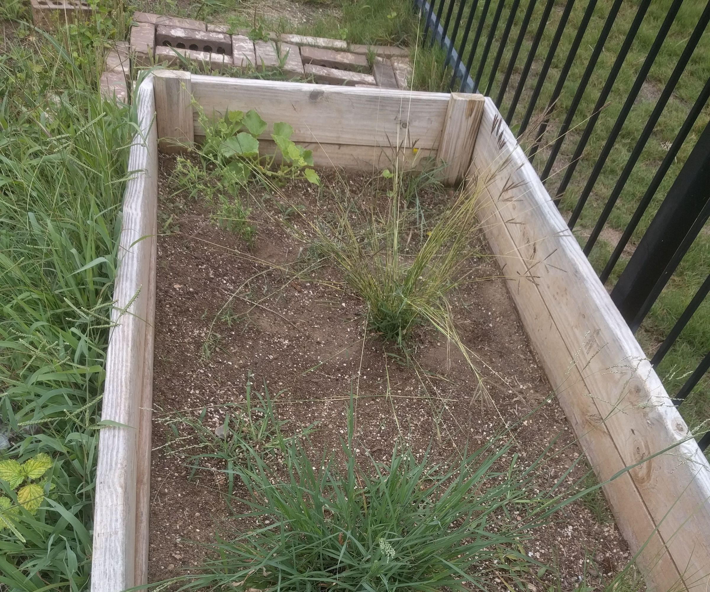 The Great Garden Renovation