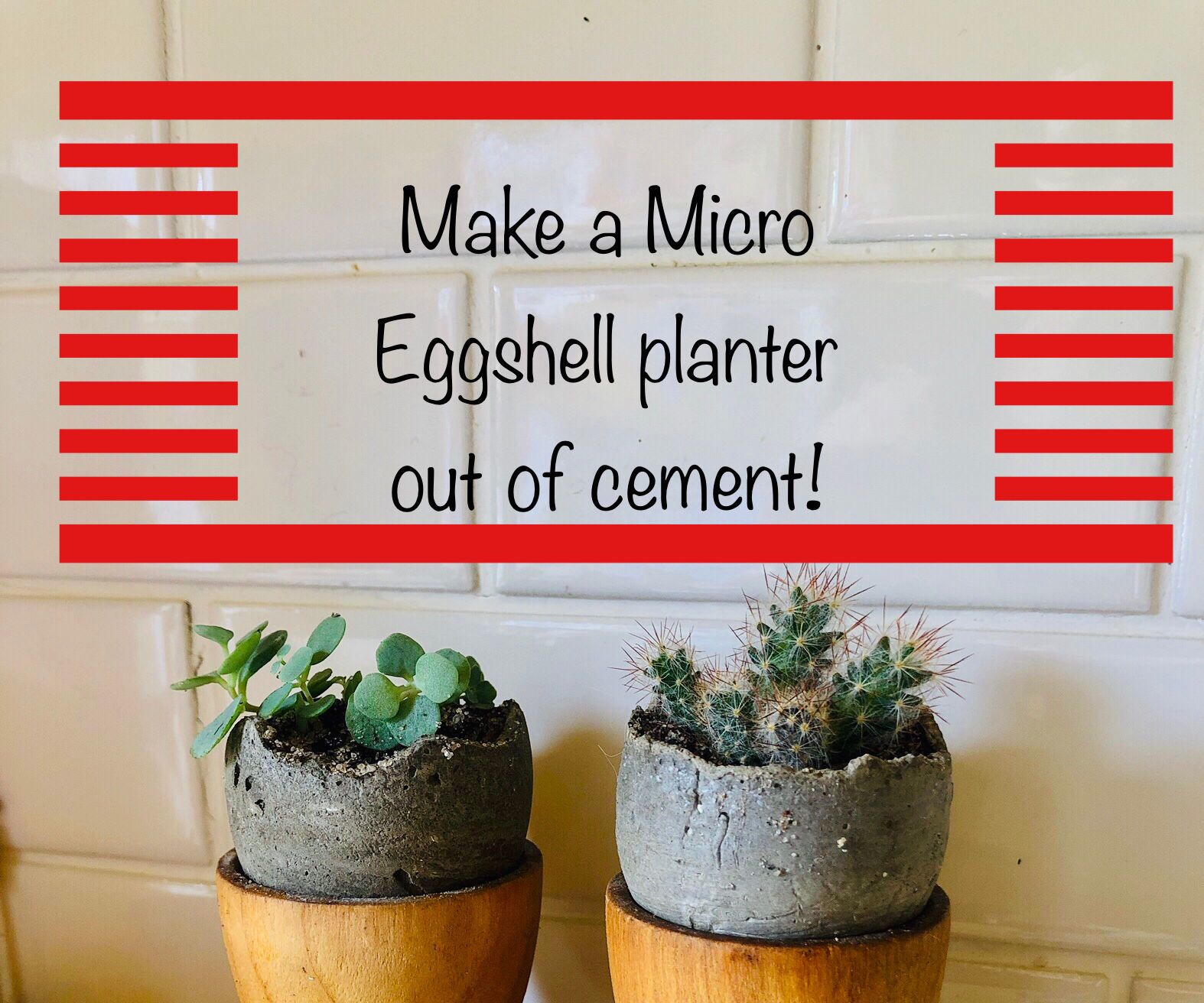 Make a Micro Eggshell Planter out of cement for Tiny Succulent Plants!