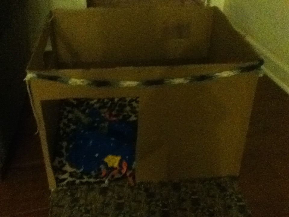 Makin' a Cardboard Doghouse
