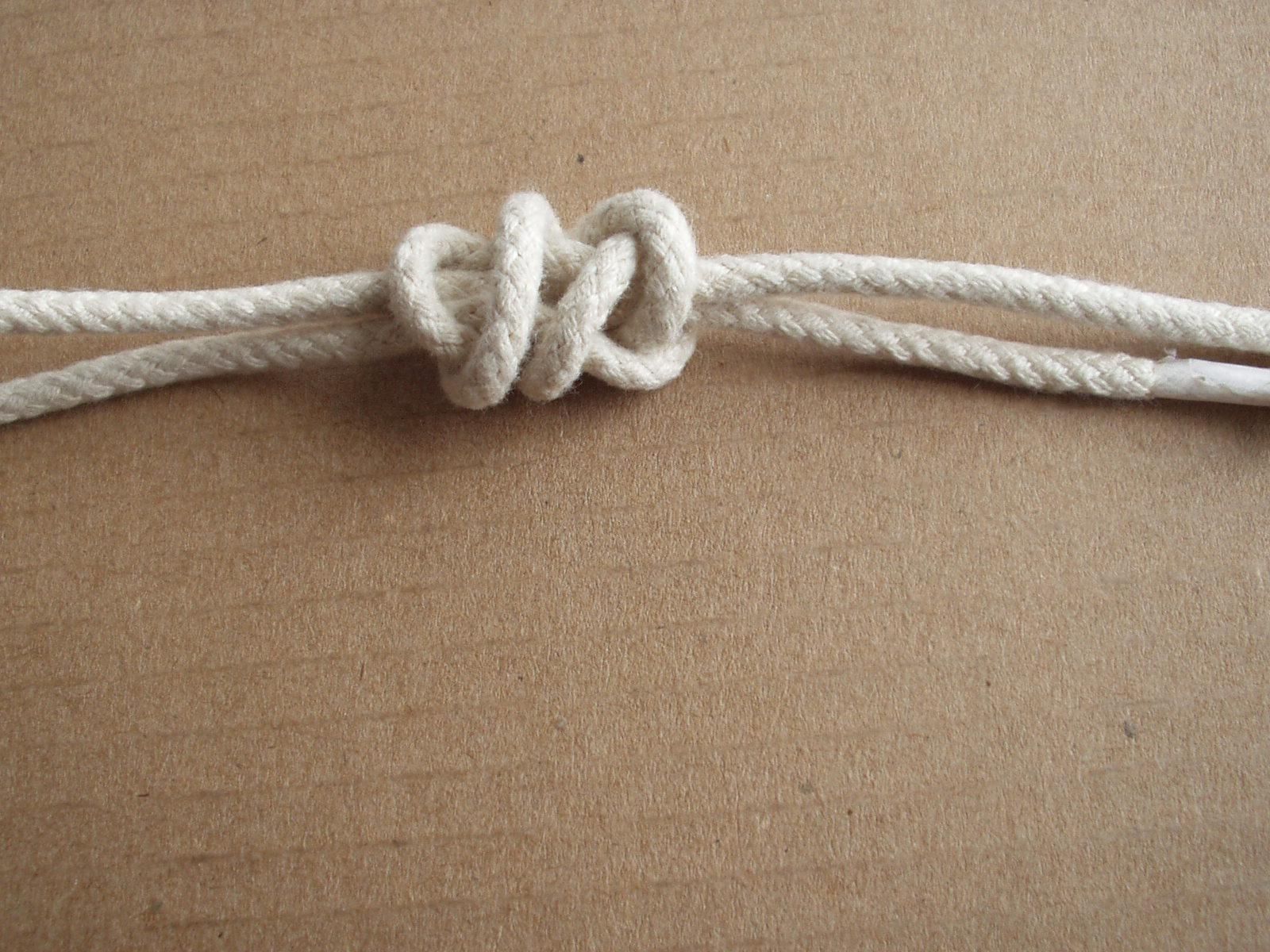 ※tampopowakakusaKAPOK KNOT Gasket Coil | Knot Animation | Knots 3D