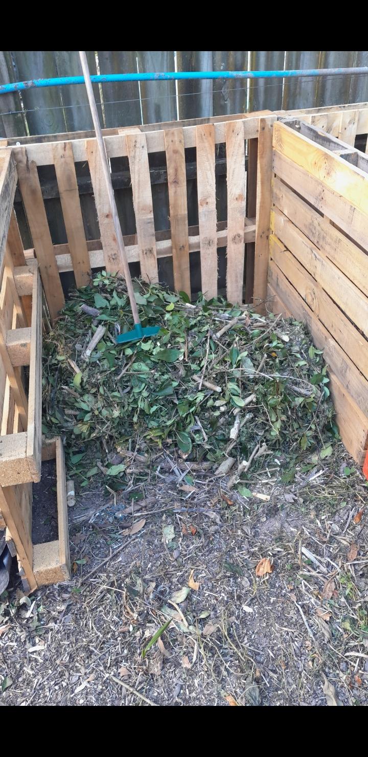Techniques for Vegetation Mulching - Leafy Branches