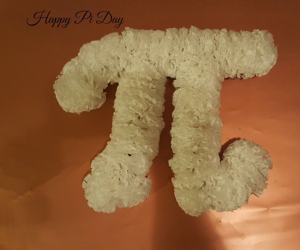 Pi Carnation Floral Arrangement