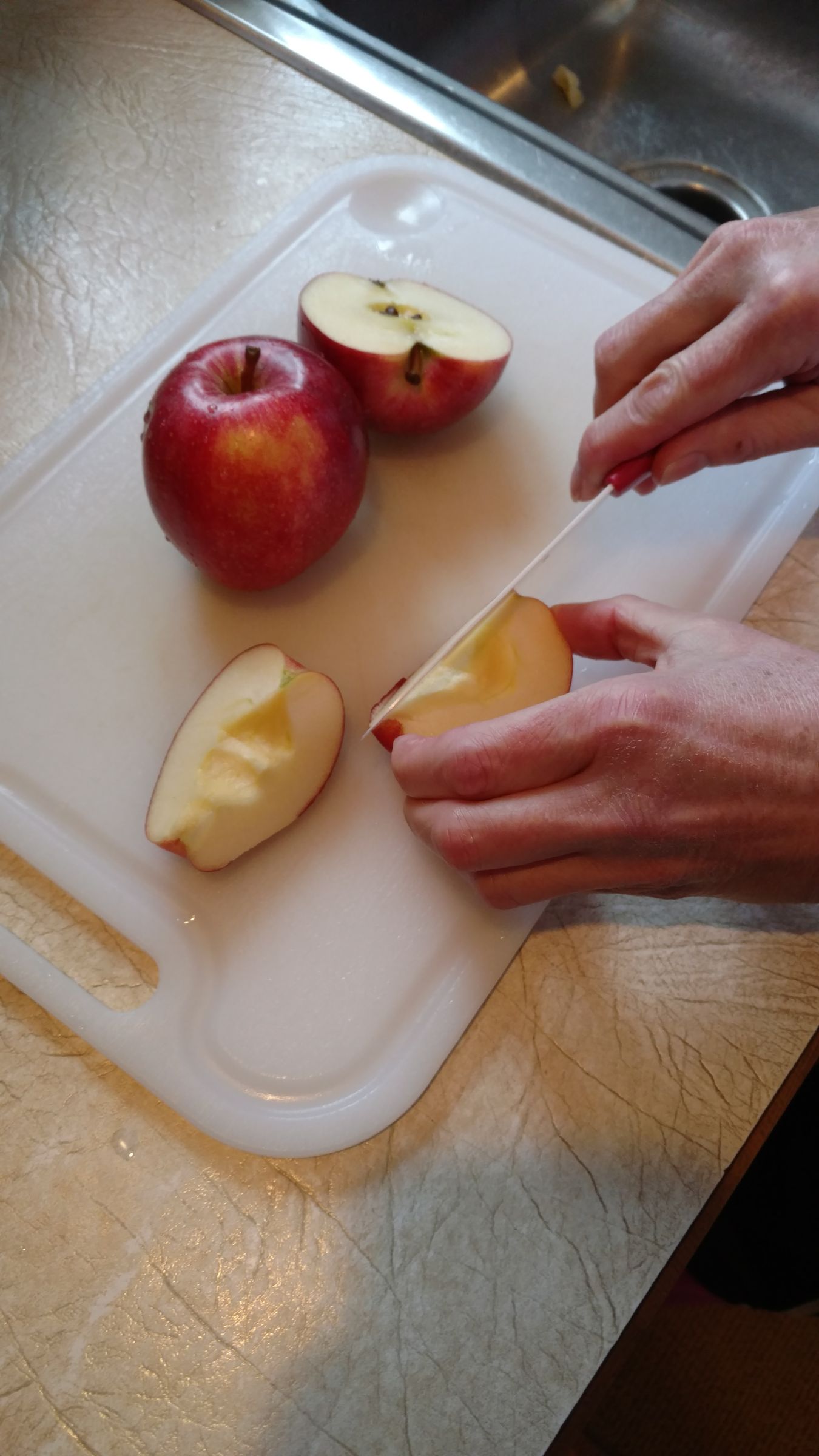 How to Make Apple Roses 12 Steps (with Pictures) Instructables