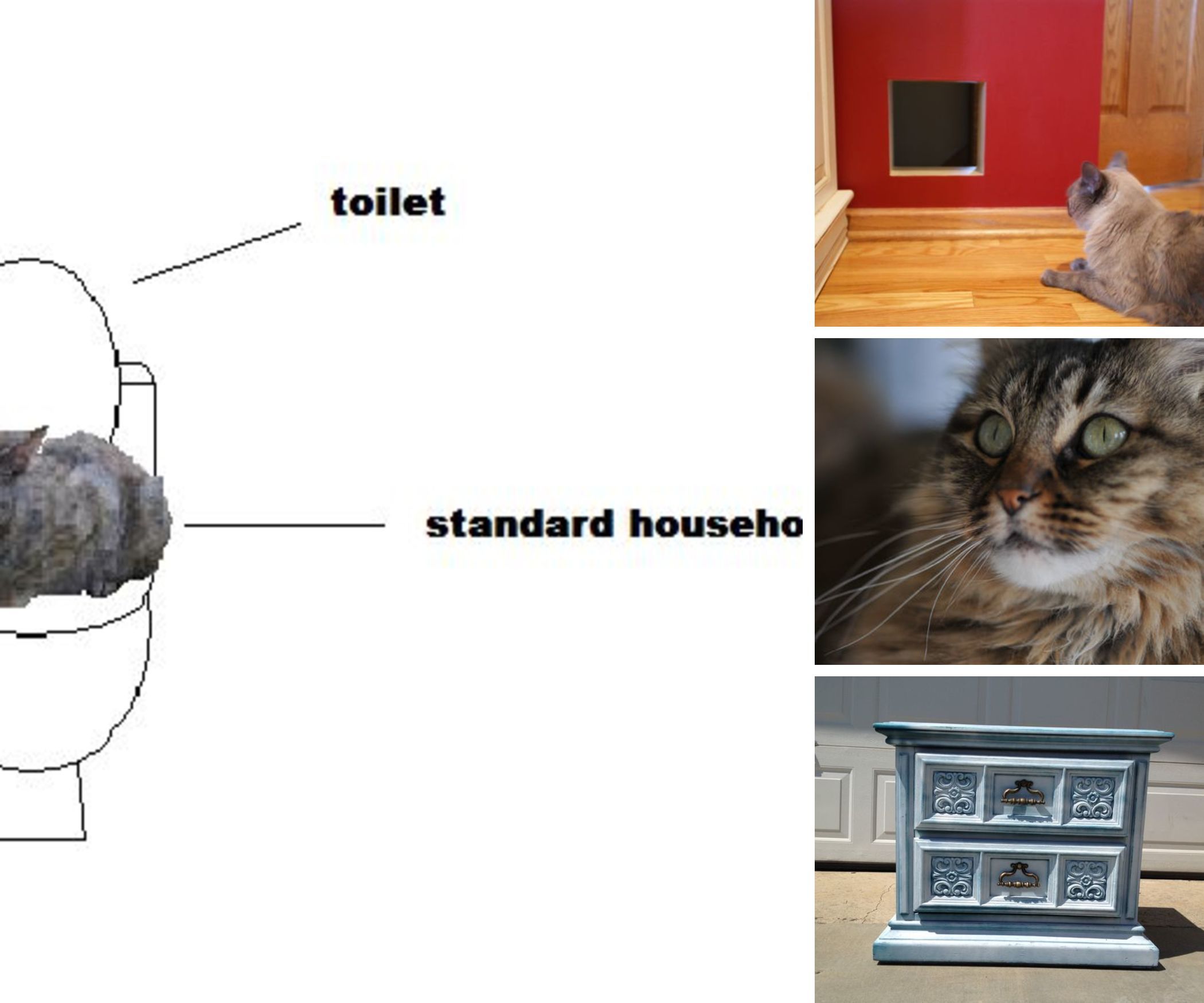 Litter Box Projects