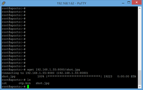 Capturing the Phone Video From Edison