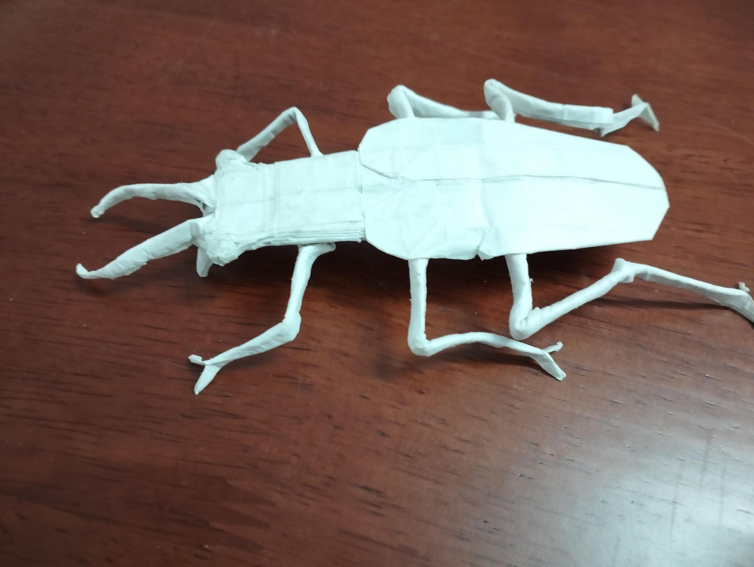 Origami Beetle : 5 Steps - Instructables