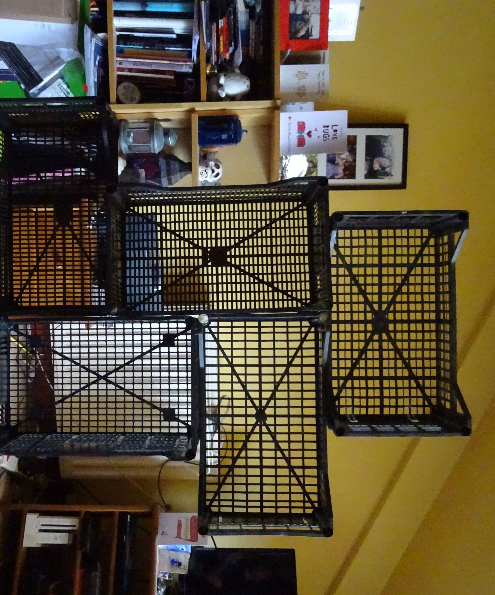 Practically Free Modular Shelving Unit