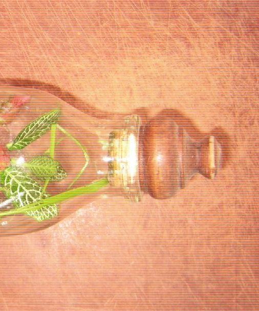 GARDEN IN a MILK BOTTLE.