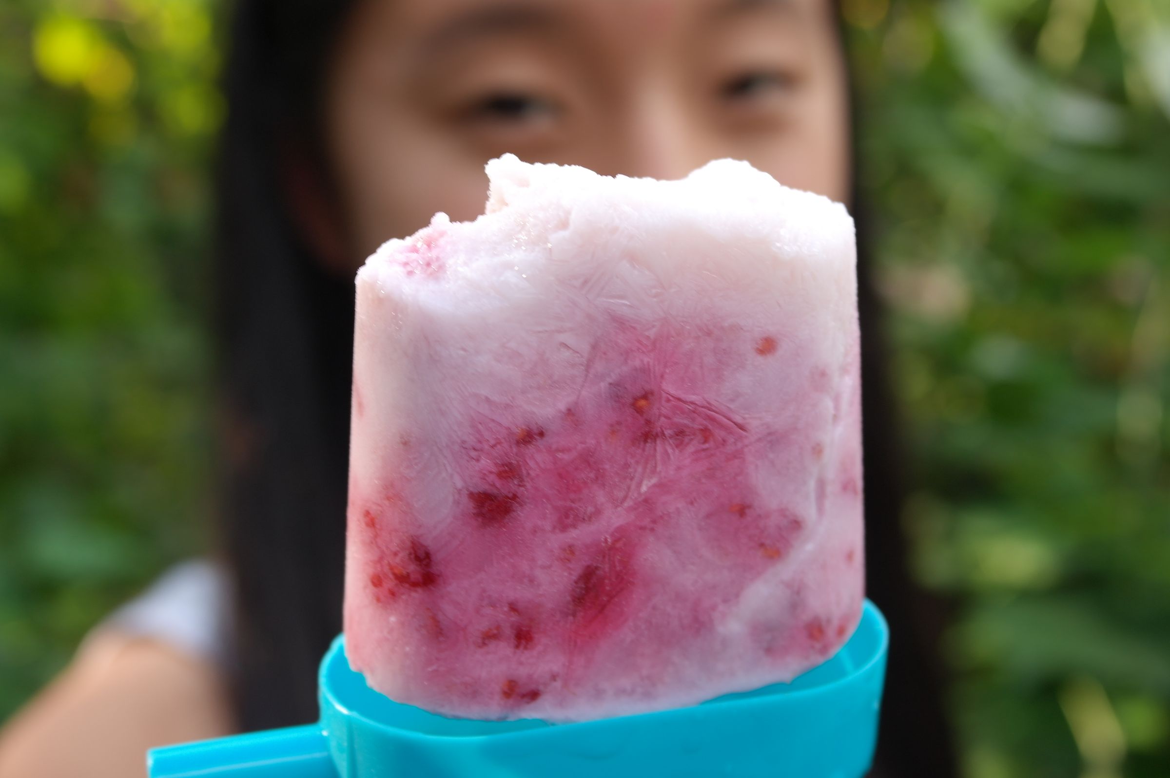 Raspberry Milk Popsicles 18 Steps (with Pictures) Instructables