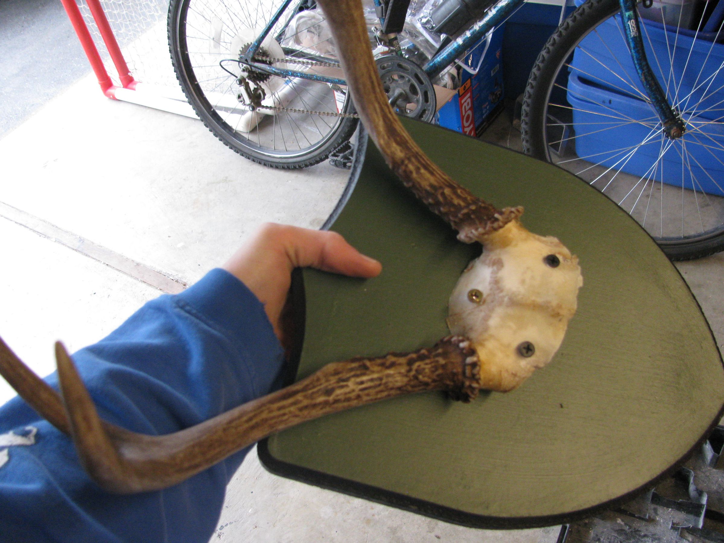 How to Mount Deer Antlers Instructables