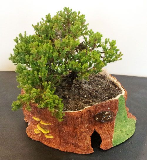 Ceramic Sculpture:  Tree Stump Bonsai Planter