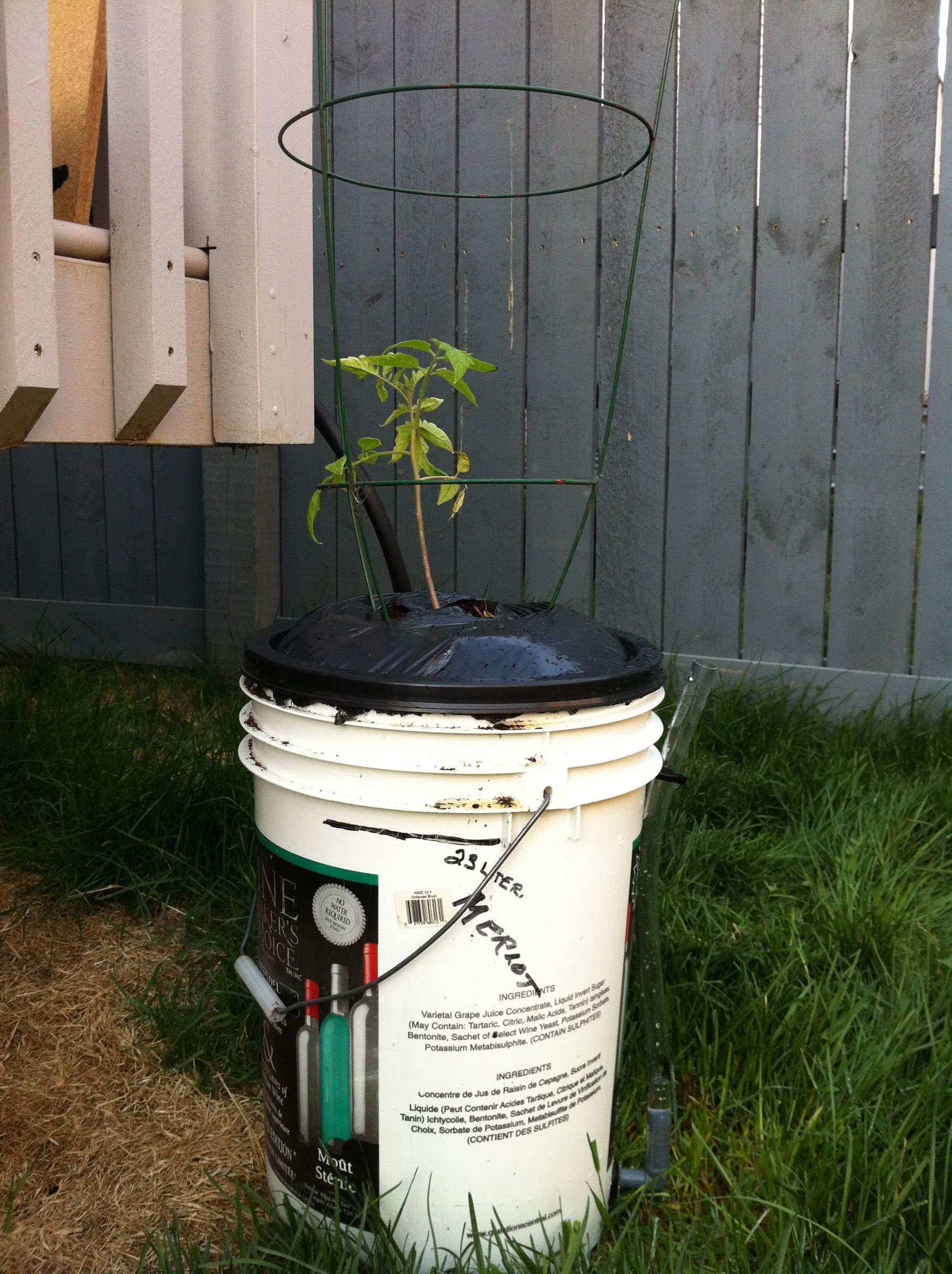 How to Build a Self-watering Planter.