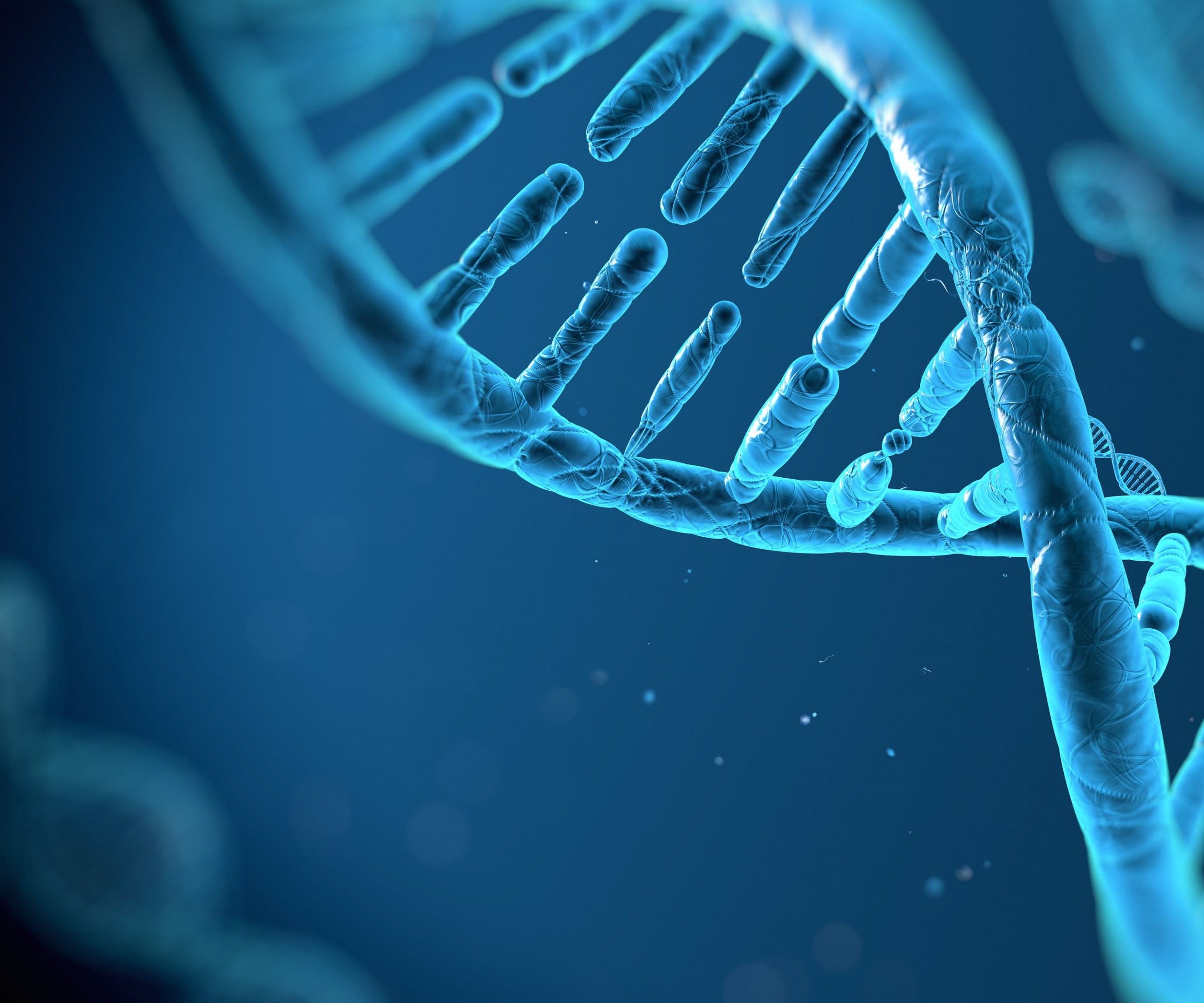 Human DNA reassembly using dynamic programming algorithms