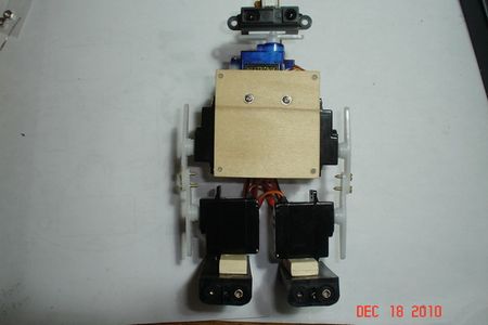 Wobbly, a Mini Biped Robot