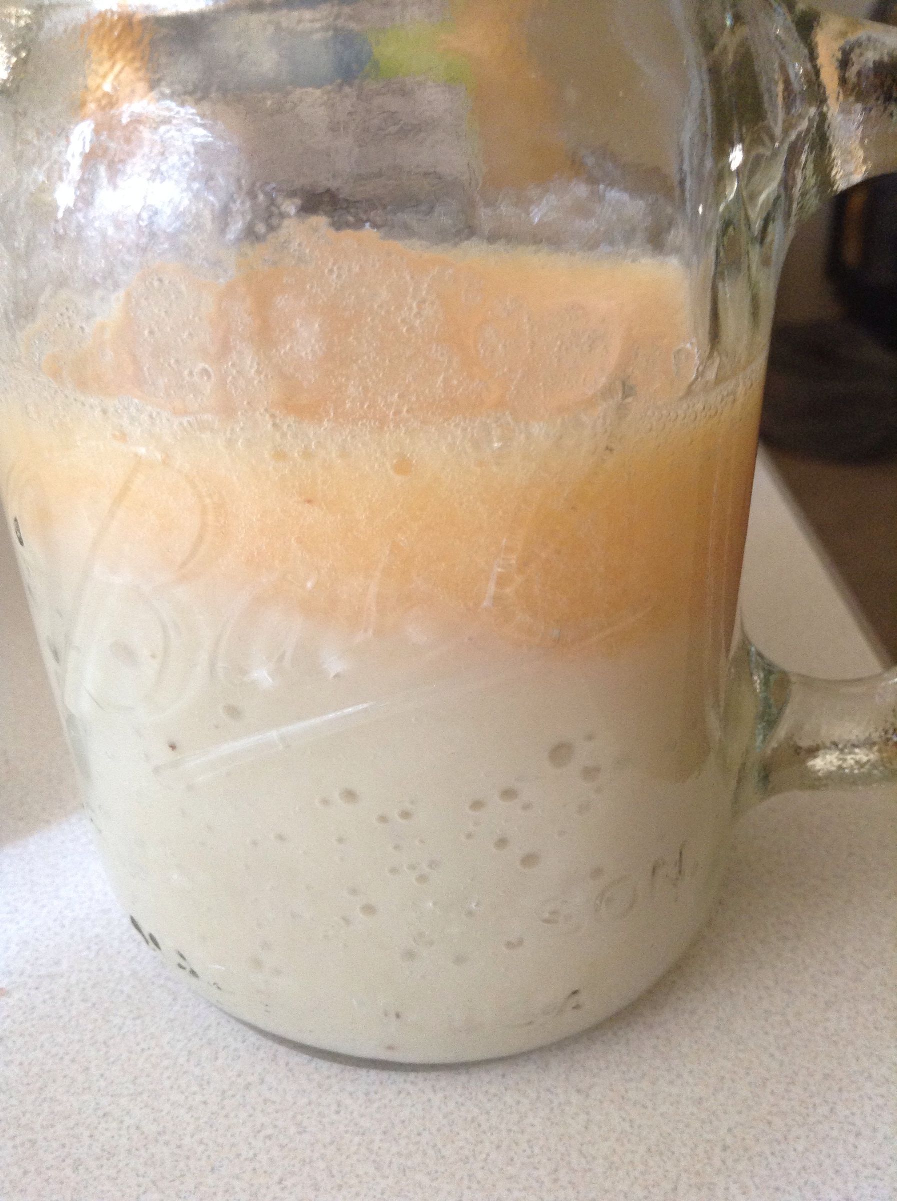 Plum Banana Smoothie