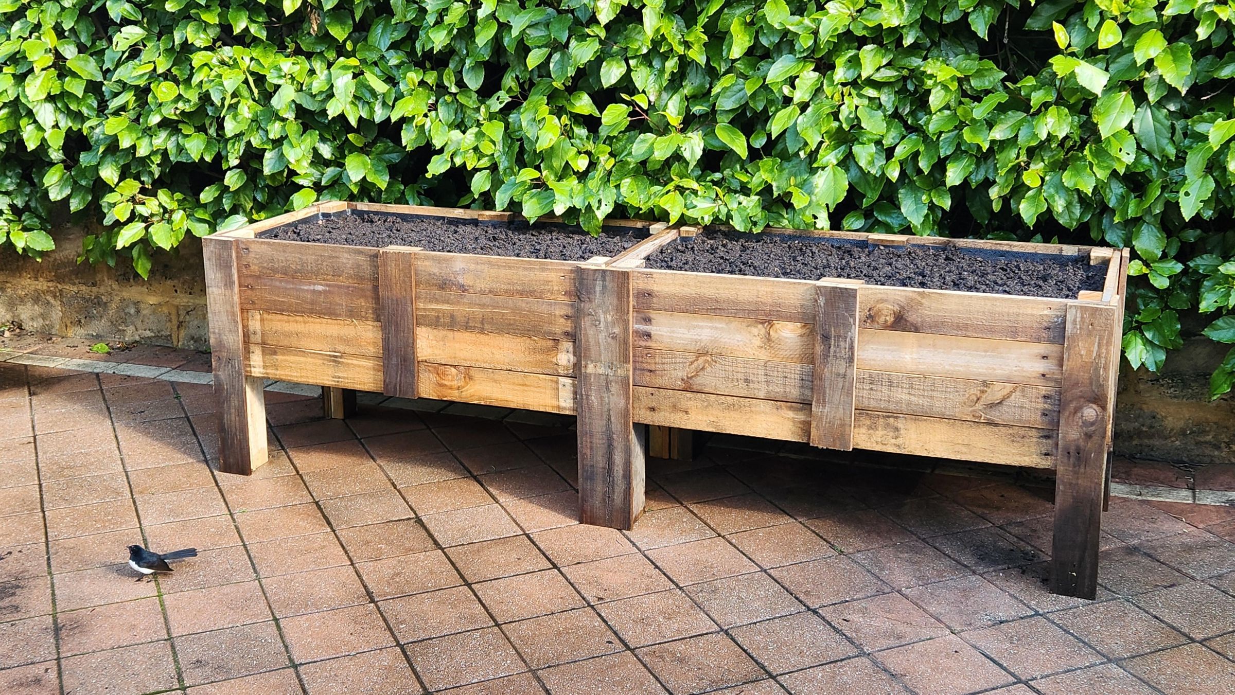 Simple DIY Modern Garden Beds - Image 1