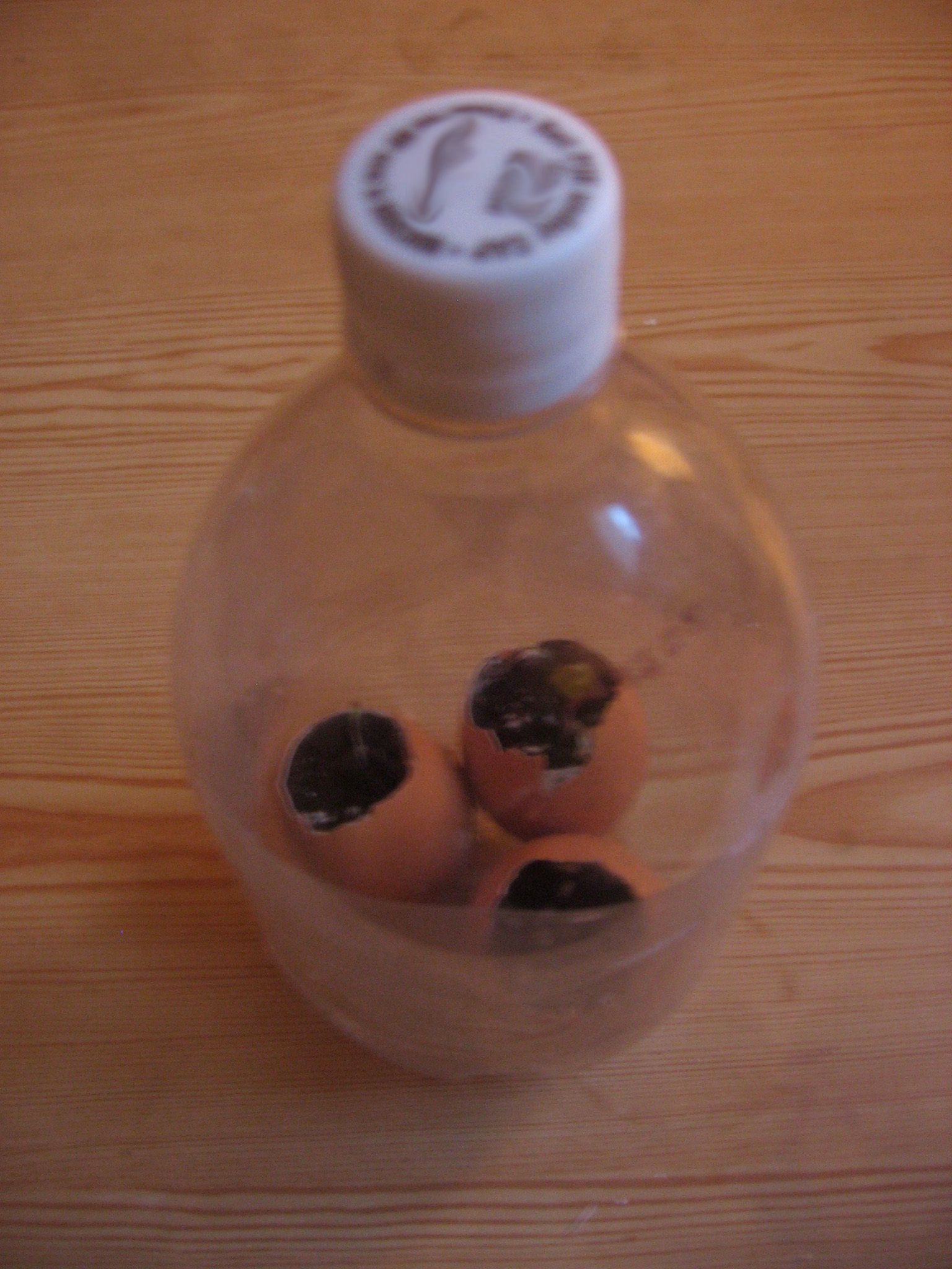 Pop Bottle Greenhouse : 6 Steps - Instructables