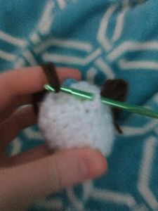Fur