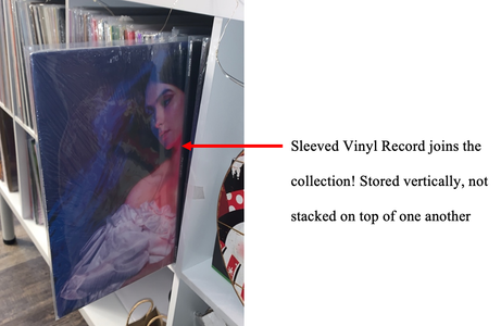 HOW TO STORE a SINGLE VINYL RECORD: Return Vinyl Record to Collection