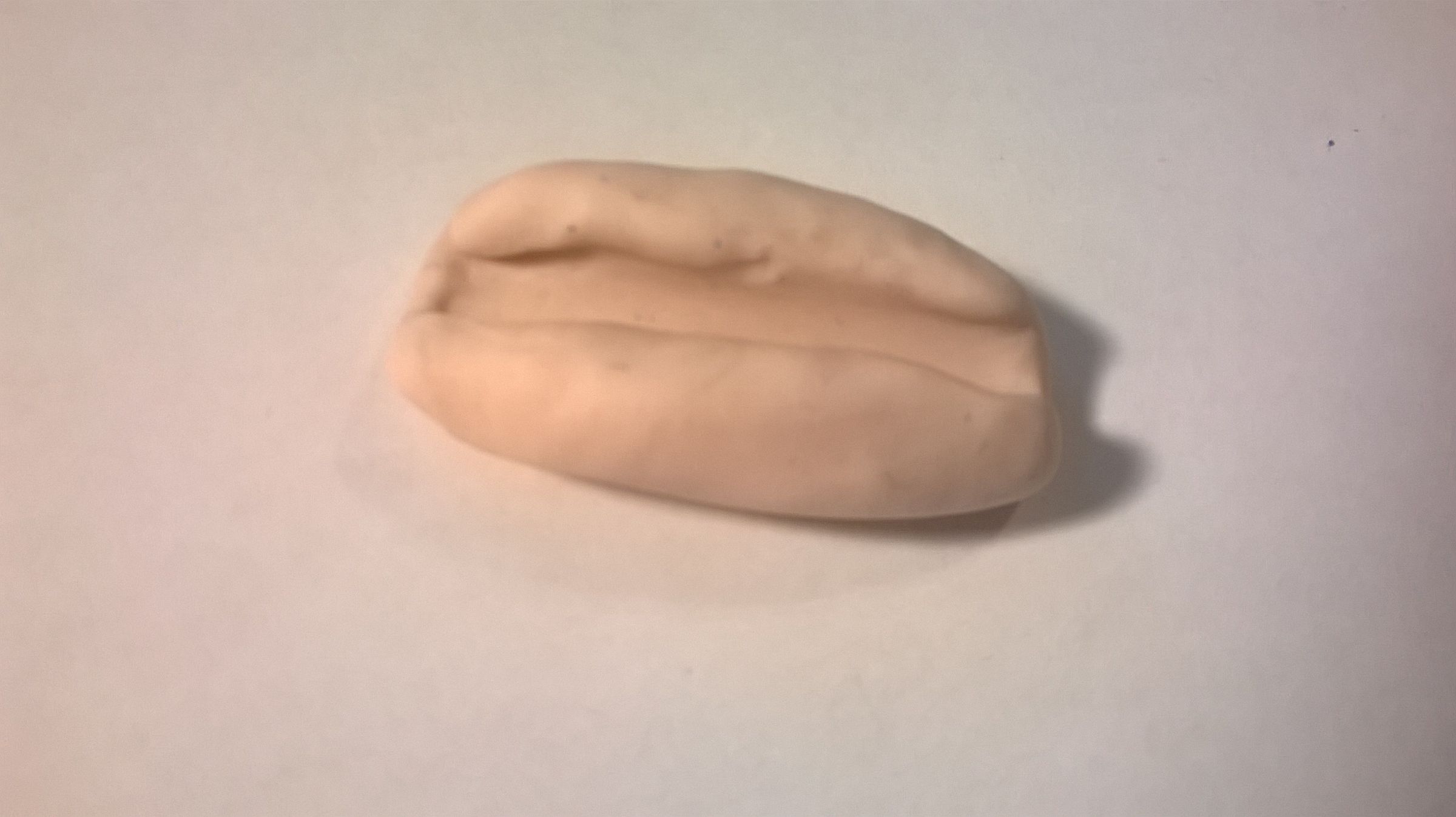 DIY Hot Dog Ring 7 Steps Instructables