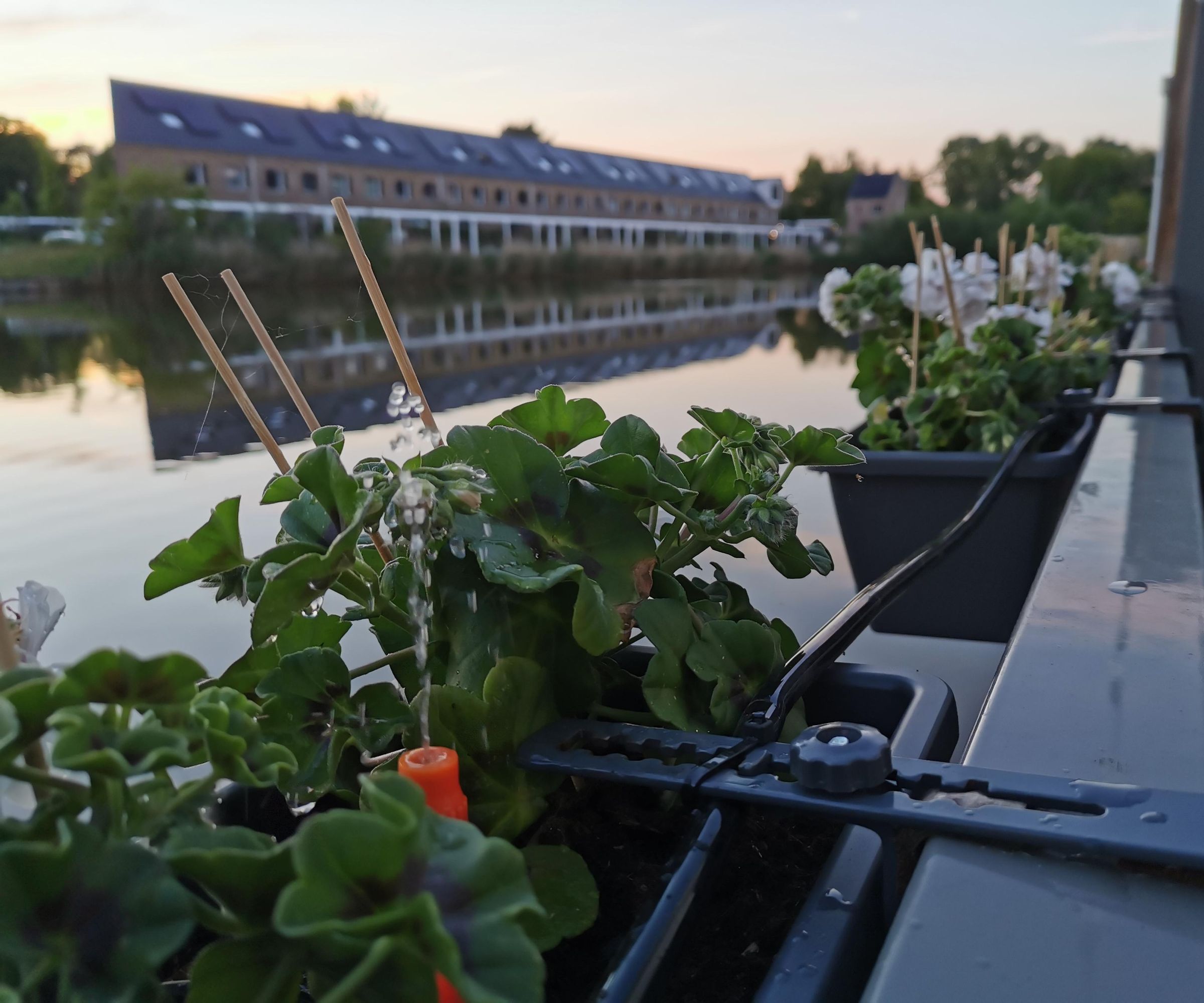 Smart WiFi Controlled Irrigation System Using Home Assistant and ESPHome