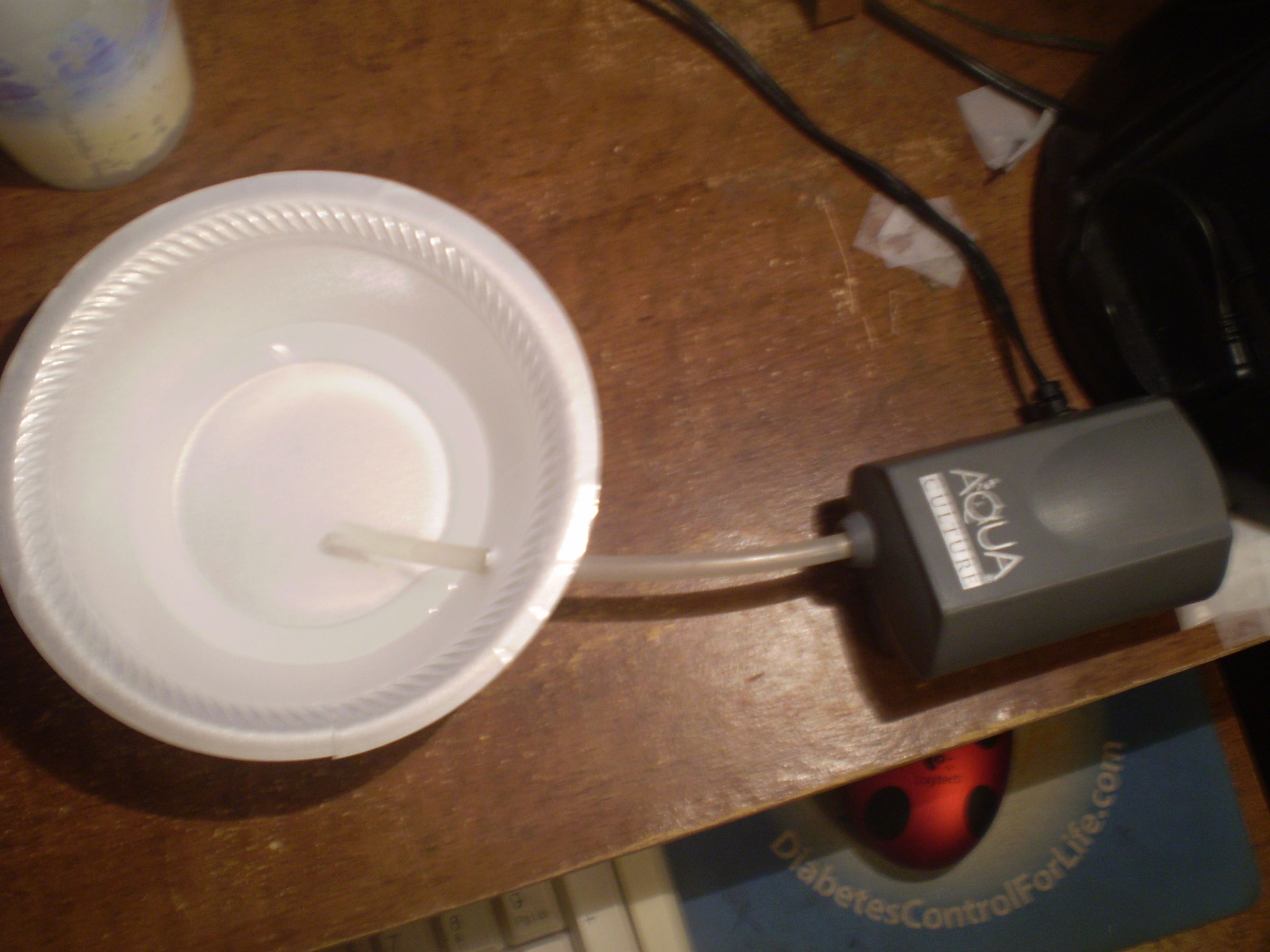 filterized dog water bowl
