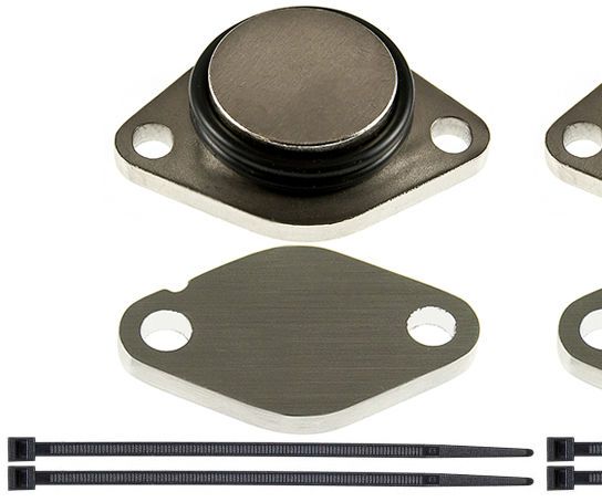 Land Rover Discovery 3 Range Rover Sport Jaguar S-Type TDV6 EGR Removal Blanking Kit Blank Plate Instruction Guide