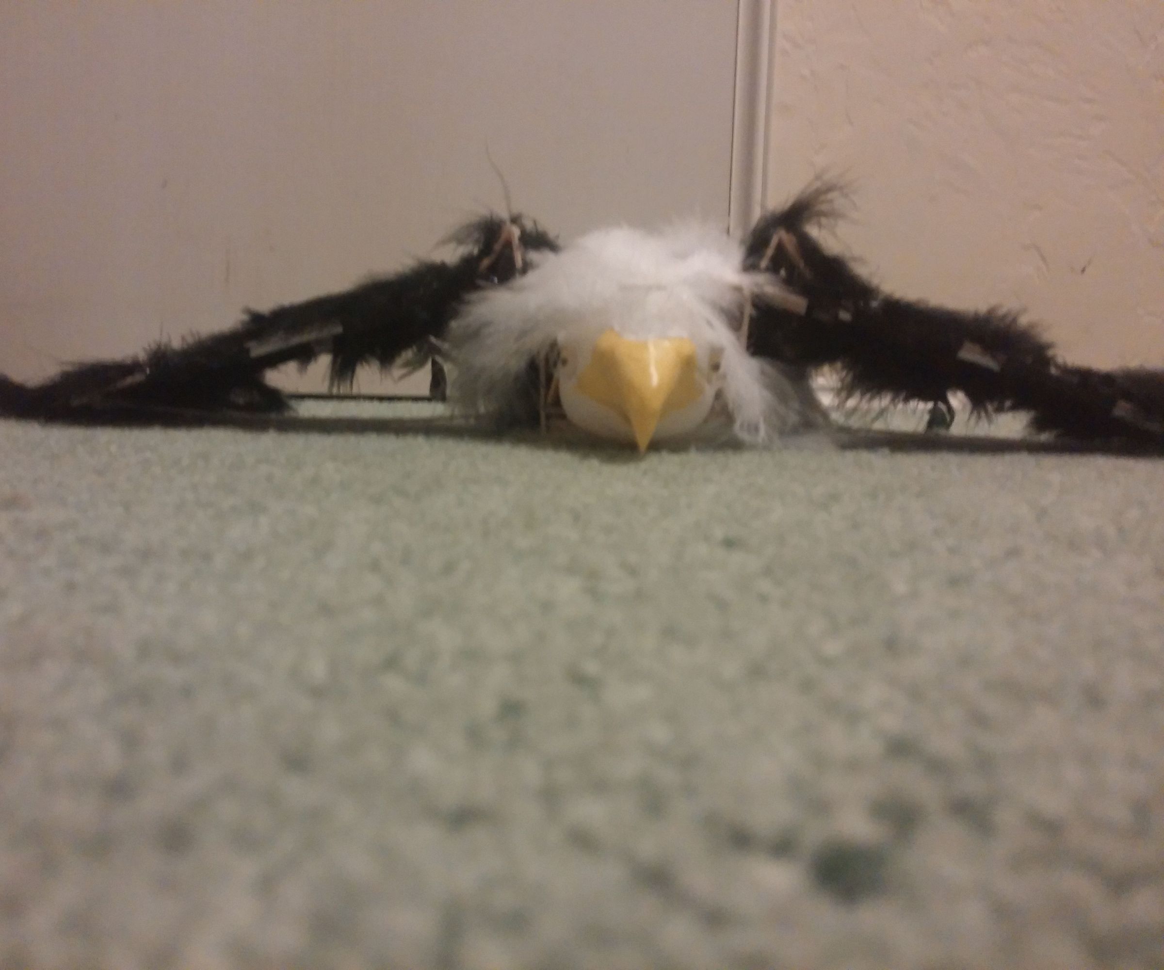 Bald Eagle With 3d Printed Head