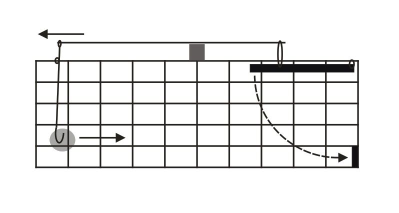Make an effective Live Trap at Home