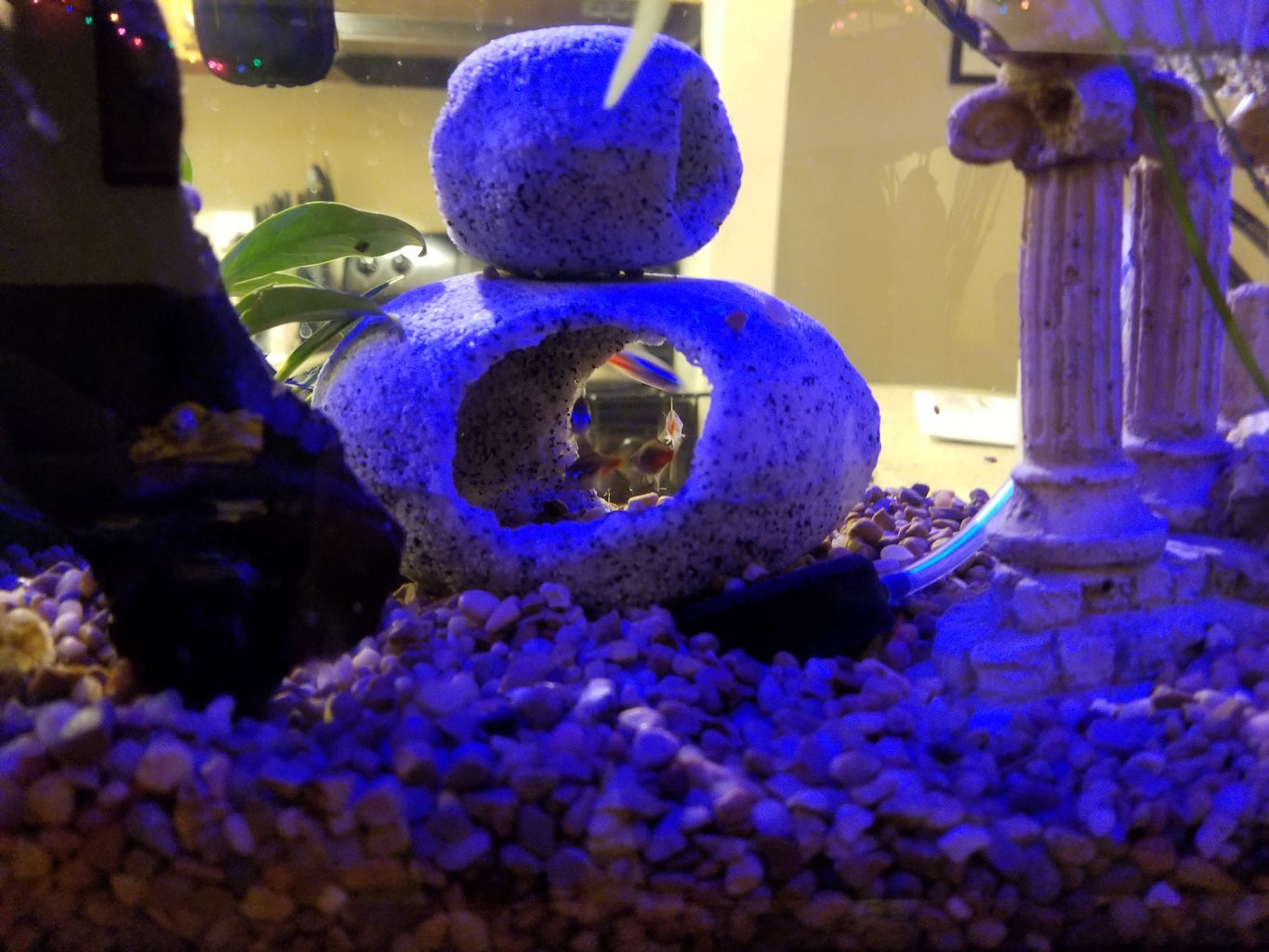 The Ultimate DIY Automatic Fish Feeder: Tier 2 : 10 Steps (with ... Circuit Diagram