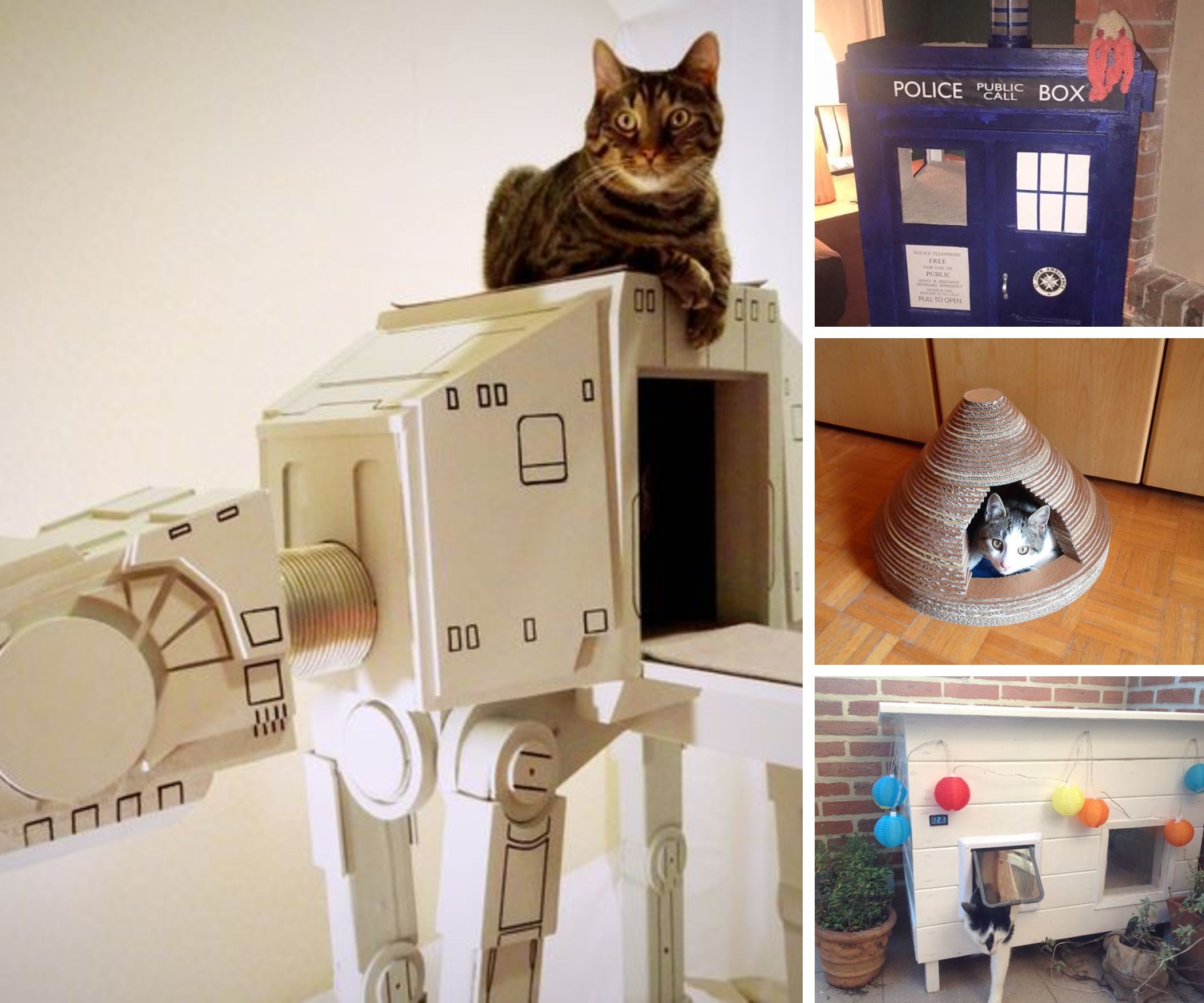 Cat Housing and Urban Development