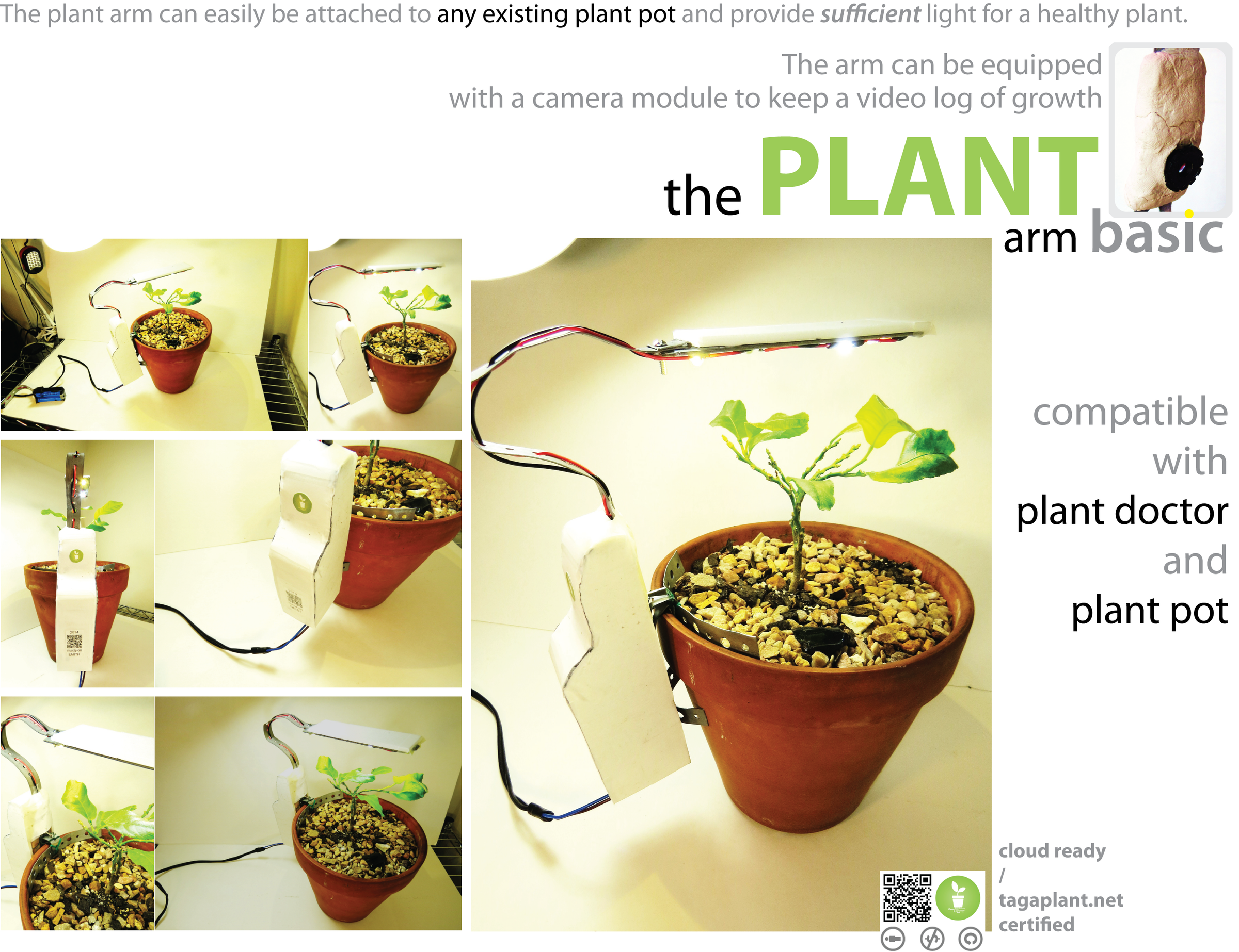 eat plants not friends Eat Plants, Not Friends