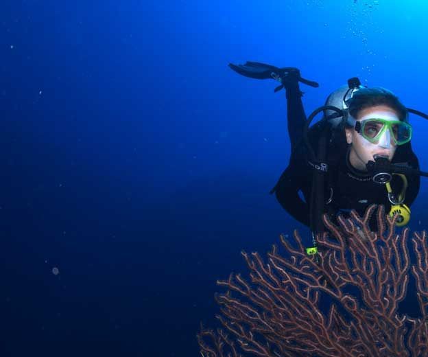 How to Scuba Diving in Krabi
