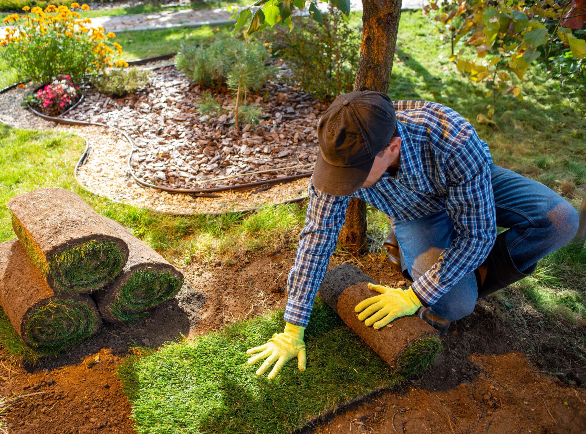 Creating a Stunning Native Plant Flower Garden