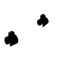 download {{ file.name }}