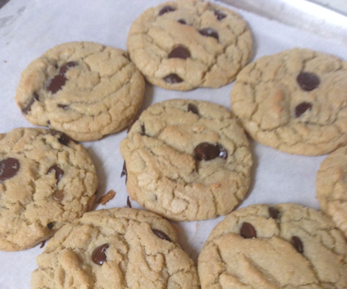 Coconut Butter Chocolate Chip Cookies