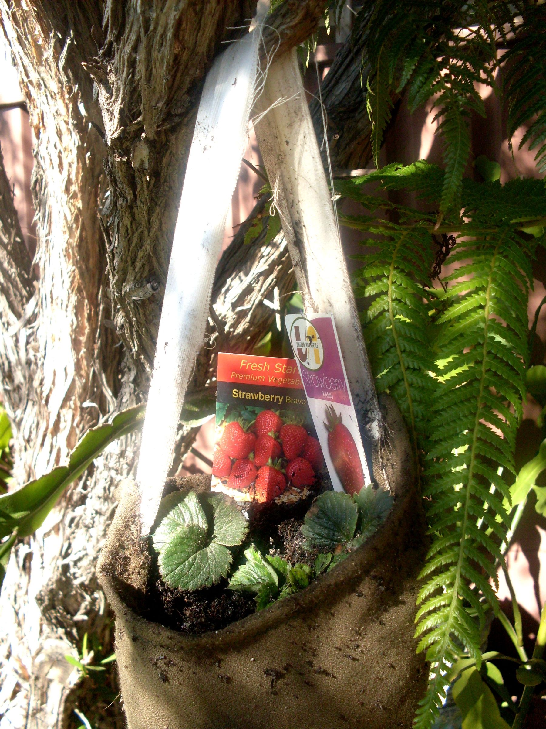 Sew a GrowBag or Upside Down Planter Bag (with Pictures) Instructables